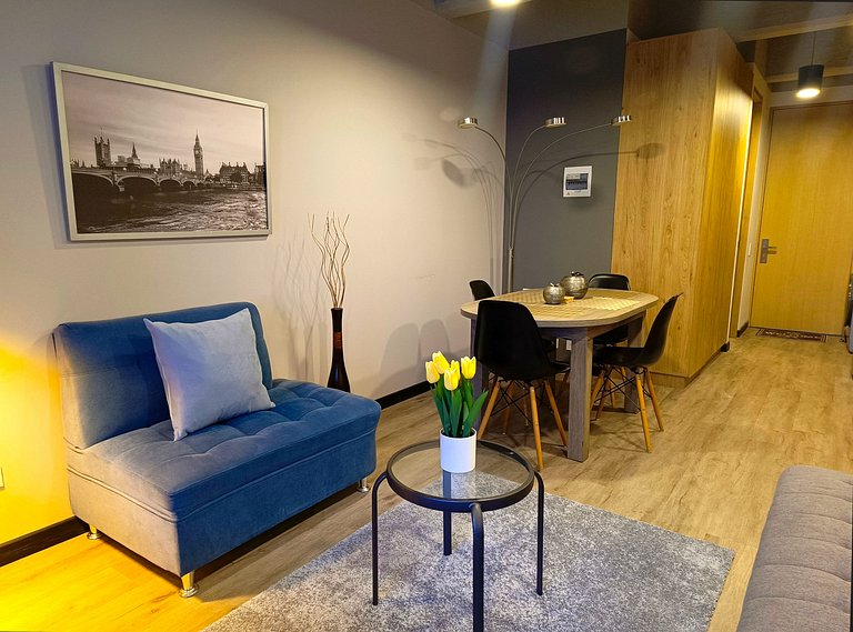 Fantastic Industrial Style Studio Apartment with Panoramic V
