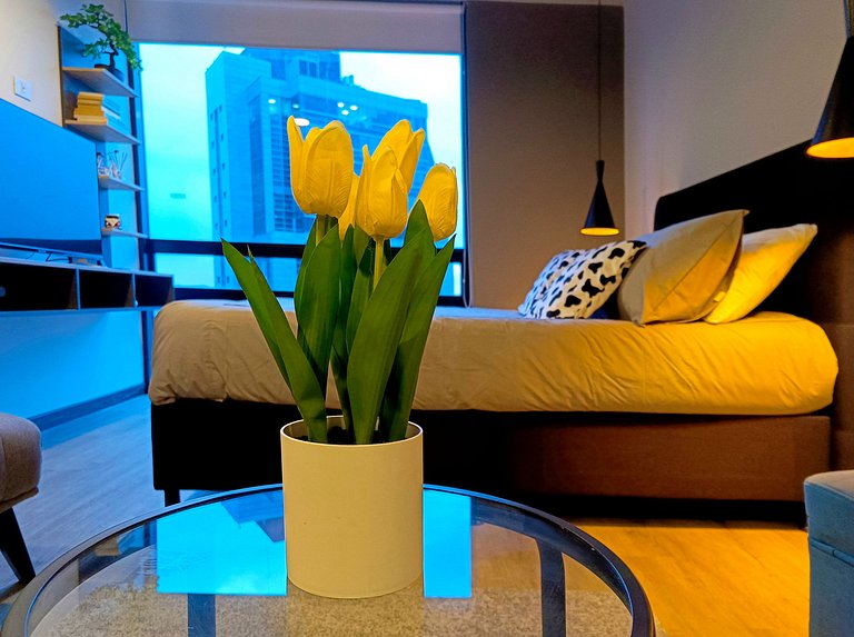 Fantastic Industrial Style Studio Apartment with Panoramic V
