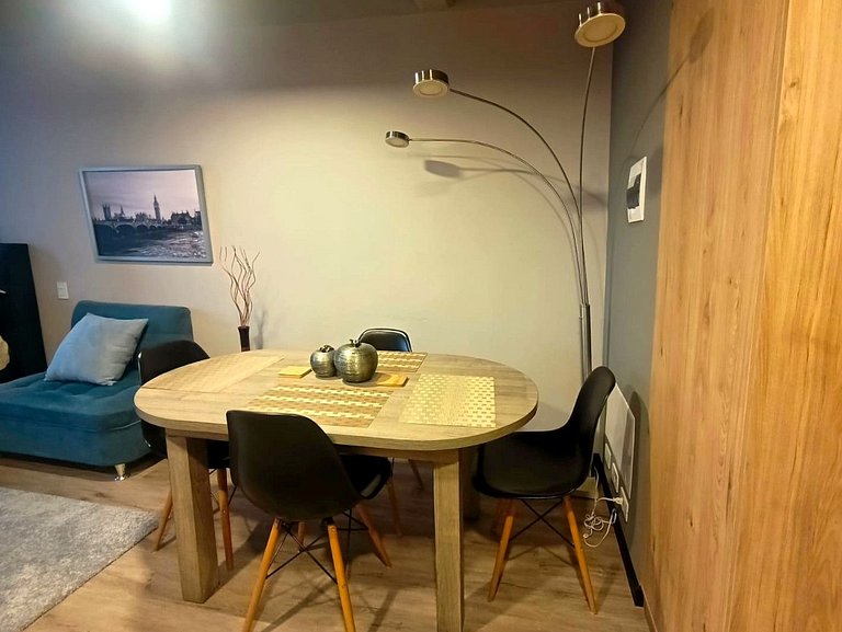 Fantastic Industrial Style Studio Apartment with Panoramic V